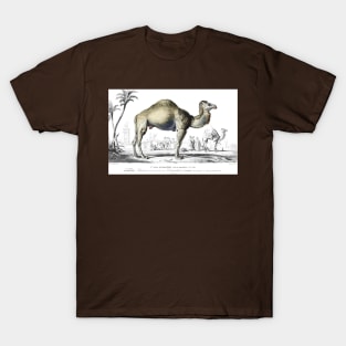 The Camel T-Shirt